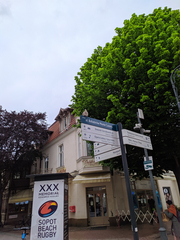 Streptopelia decaocto