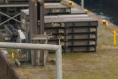 Phoenicurus ochruros