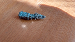 Amicta quadrangularis