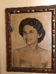 Catocala agrippina