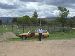 Stenomesson miniatum