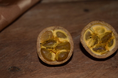 Posoqueria latifolia