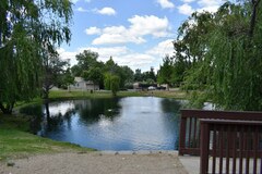 Lepomis gibbosus × cyanellus