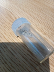 Eupithecia pulchellata