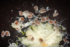 Trichosanthes subvelutina