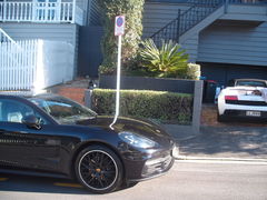 Chrysomphalus pinnulifer