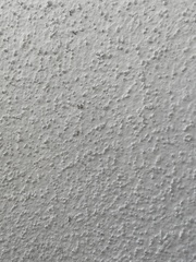 Monomorium floricola