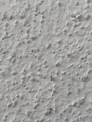 Monomorium floricola