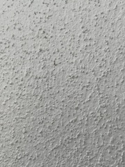 Monomorium floricola