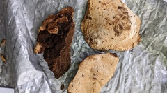 Truncospora tephropora