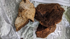 Truncospora tephropora