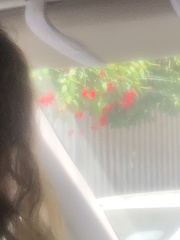 Hibiscus rosa-sinensis