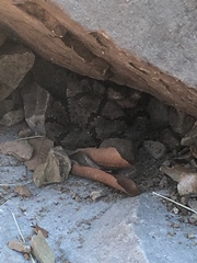 Crotalus lepidus klauberi