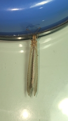 Creoleon lugdunensis