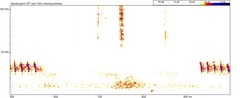 Eptesicus furinalis
