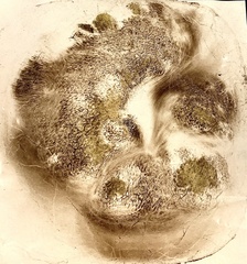Hortiboletus rubellus