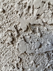 Eufernaldia cadarellus