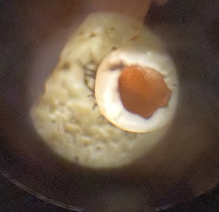 Parmelina carporrhizans