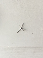 Hellinsia homodactylus