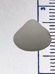 Tivela