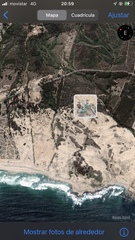 Astragalus trifoliatus