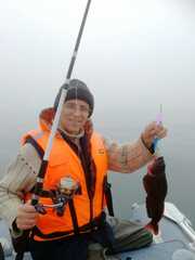 Hexagrammos lagocephalus