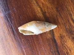 Mitra