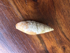 Mitra