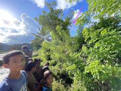 Paragomphus balneorum