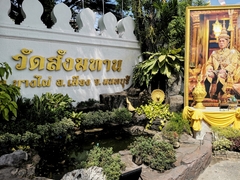 Hoplobatrachus chinensis