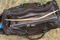 Catalpa bignonioides