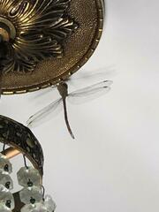 Coryphaeschna adnexa