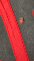 Coleomegilla maculata