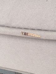 Helcystogramma rufescens