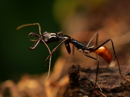 no rights reserved, uploaded by Philipp Hoenle