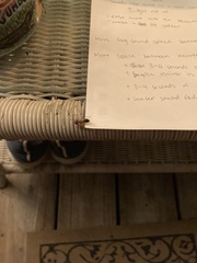 Camponotus floridanus