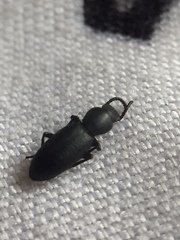 Hyperops