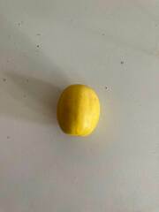 Pouteria dominigensis