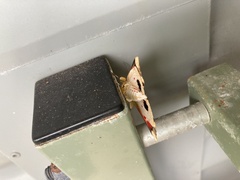 Hypsidia erythropsalis