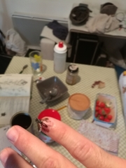 Cylindromyia bicolor