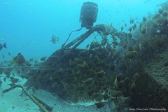 Pempheris multiradiata