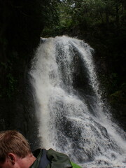 Bartramiopsis lescurii