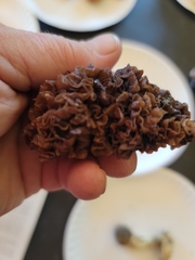 Phaeotremella fimbriata