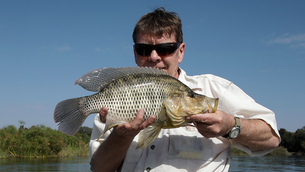 Speckleface Bream