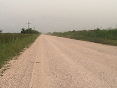 Thamnophis proximus orarius