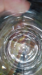 Eumodicogryllus bordigalensis