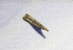 Dichomeris ochthophora