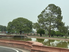 Pinus roxburghii