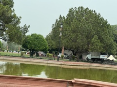 Pinus roxburghii