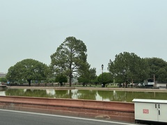 Pinus roxburghii